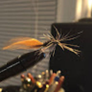 Meet your Posher, Max